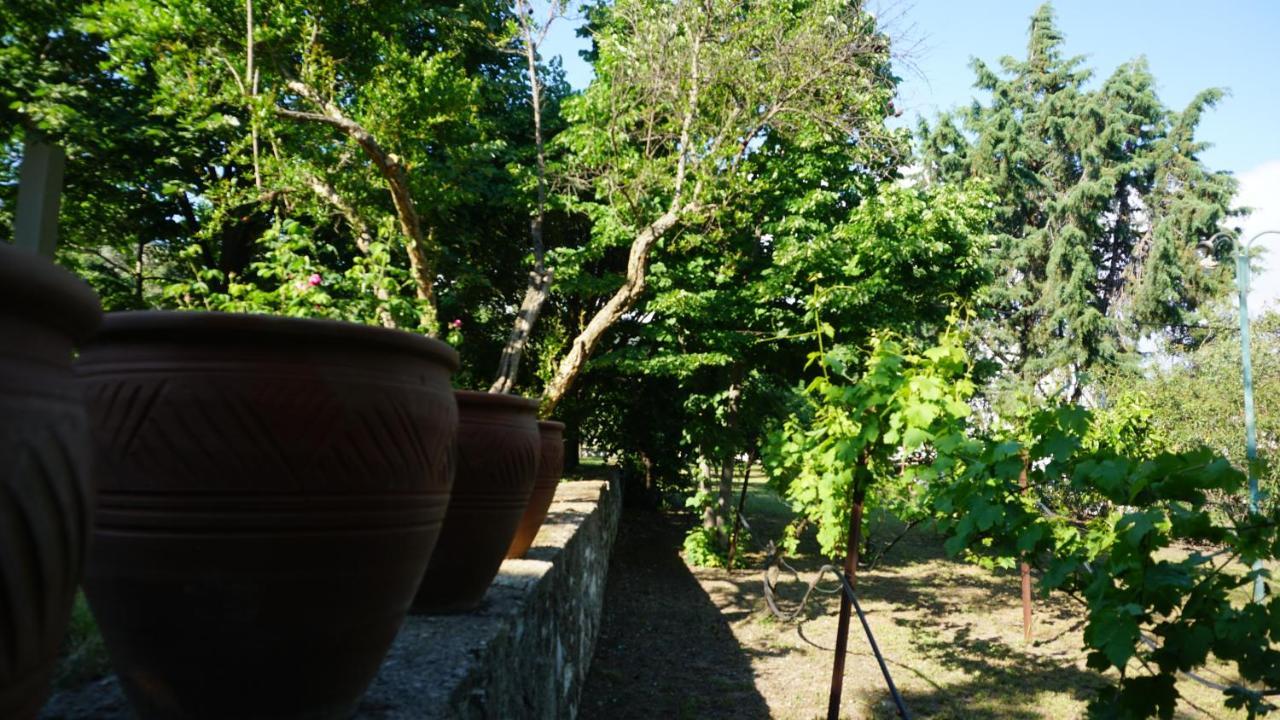 Kavet Palio Holiday home